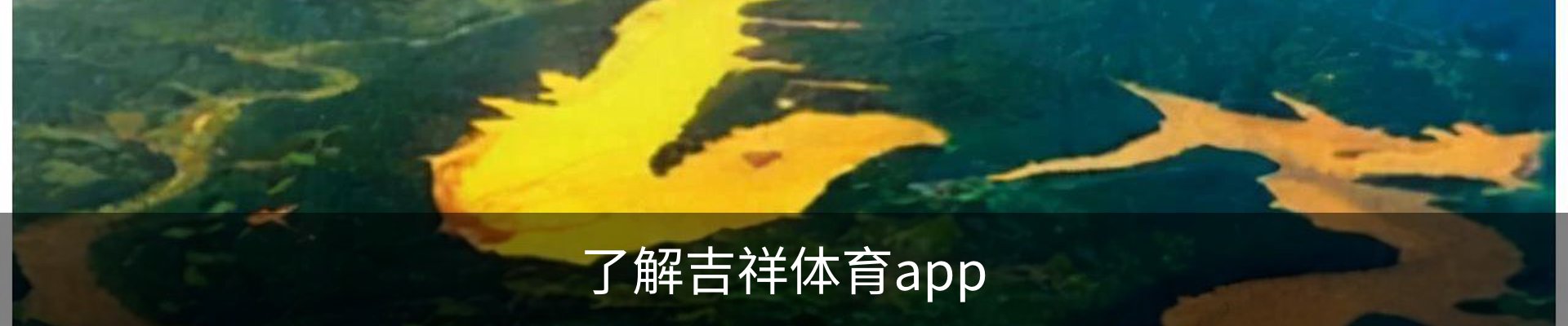 了解吉祥体育app