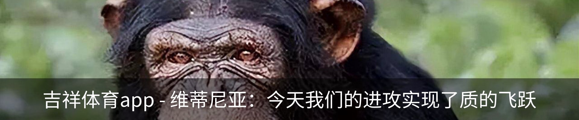 行业资讯