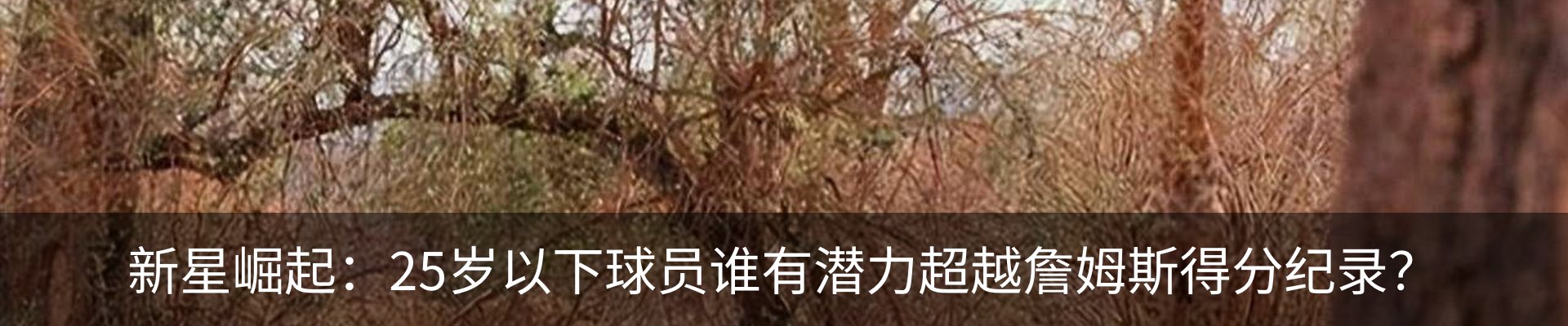 行业资讯